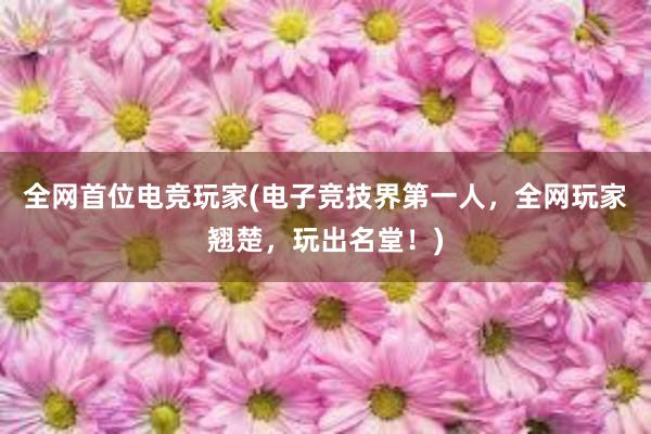 全网首位电竞玩家(电子竞技界第一人，全网玩家翘楚，玩出名堂！)