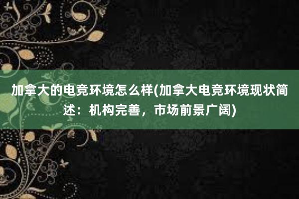 加拿大的电竞环境怎么样(加拿大电竞环境现状简述：机构完善，市场前景广阔)