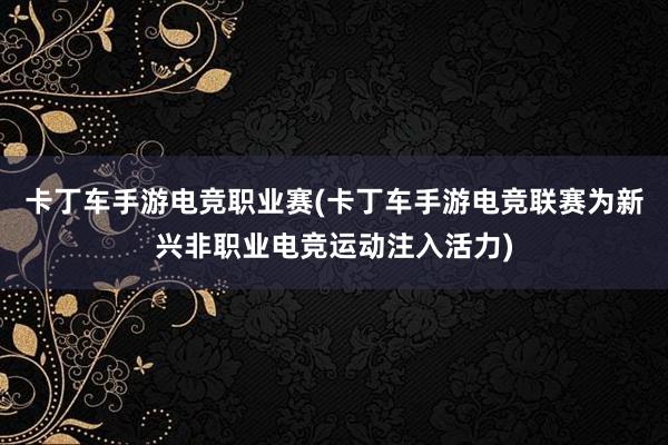 卡丁车手游电竞职业赛(卡丁车手游电竞联赛为新兴非职业电竞运动注入活力)