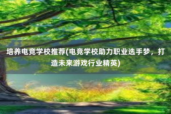 培养电竞学校推荐(电竞学校助力职业选手梦，打造未来游戏行业精英)