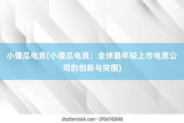 小傻瓜电竞(小傻瓜电竞：全球最年轻上市电竞公司的创新与突围)