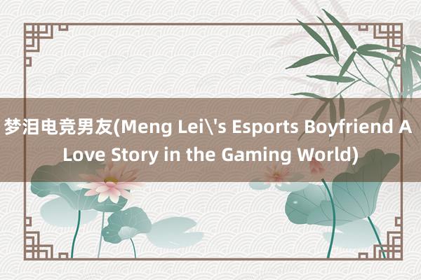 梦泪电竞男友(Meng Lei's Esports Boyfriend A Love Story in the Gaming World)