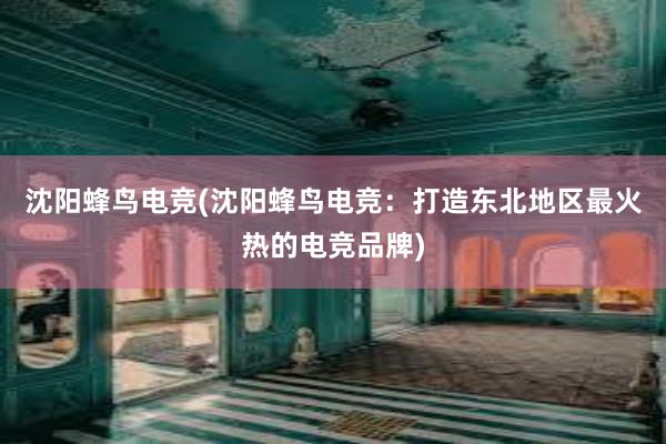 沈阳蜂鸟电竞(沈阳蜂鸟电竞：打造东北地区最火热的电竞品牌)