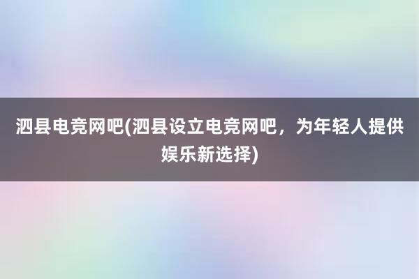 泗县电竞网吧(泗县设立电竞网吧，为年轻人提供娱乐新选择)