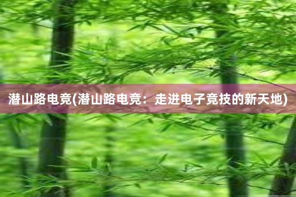 潜山路电竞(潜山路电竞：走进电子竞技的新天地)