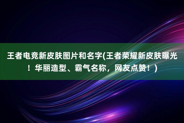 王者电竞新皮肤图片和名字(王者荣耀新皮肤曝光！华丽造型、霸气名称，网友点赞！)