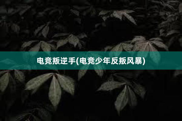 电竞叛逆手(电竞少年反叛风暴)