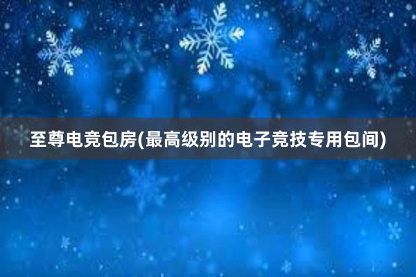 至尊电竞包房(最高级别的电子竞技专用包间)