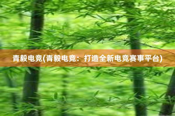 青毅电竞(青毅电竞：打造全新电竞赛事平台)