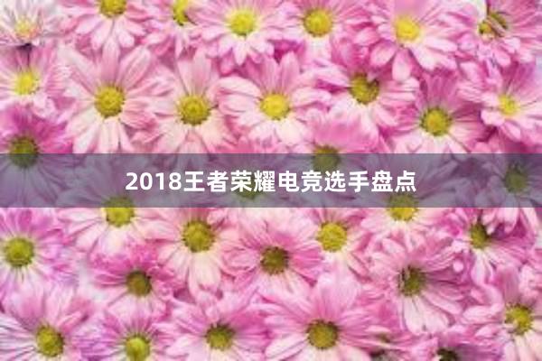 2018王者荣耀电竞选手盘点