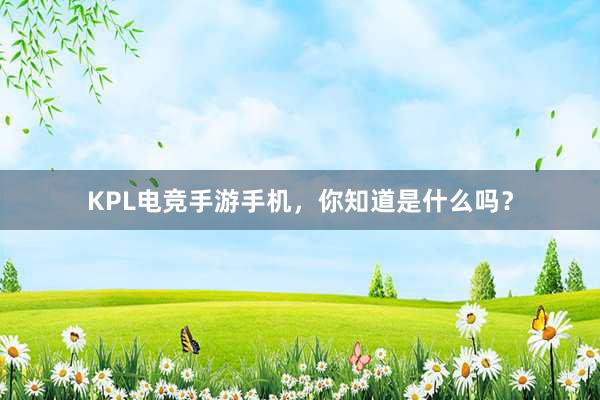 KPL电竞手游手机，你知道是什么吗？