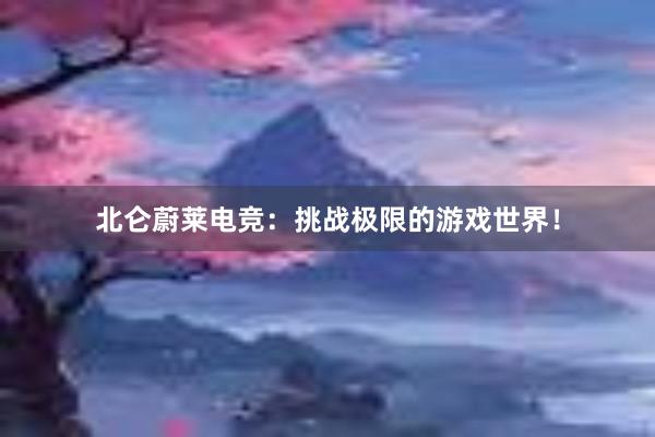 北仑蔚莱电竞：挑战极限的游戏世界！