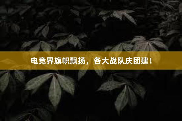 电竞界旗帜飘扬，各大战队庆团建！