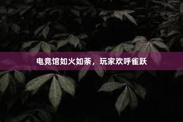 电竞馆如火如荼，玩家欢呼雀跃