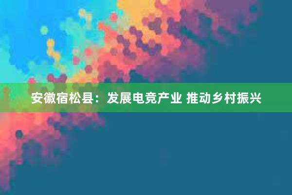 安徽宿松县：发展电竞产业 推动乡村振兴