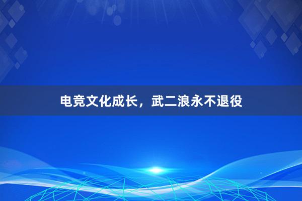 电竞文化成长，武二浪永不退役