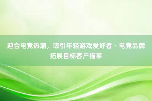 迎合电竞热潮，吸引年轻游戏爱好者 - 电竞品牌拓展目标客户描摹