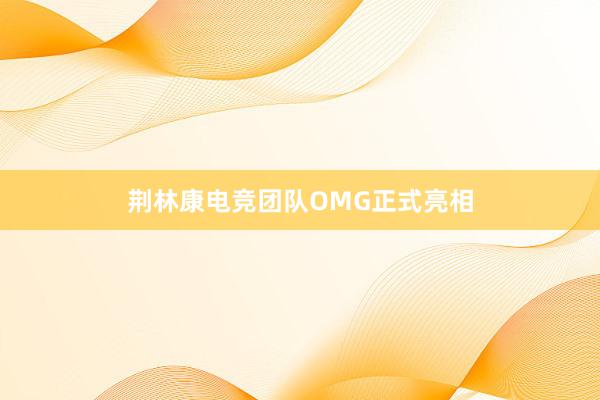 荆林康电竞团队OMG正式亮相