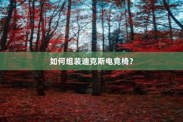 如何组装迪克斯电竞椅？